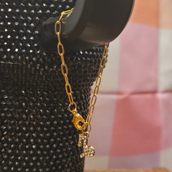 Capricorn Zodiac Sign Tumbler Charm - Picture 3 of 3